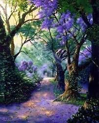 Bosque de Yucatan